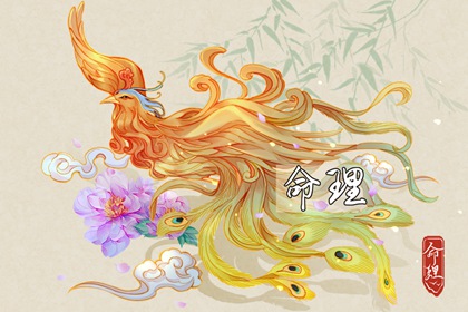 全民农历日历 2025年日历 农历2025年日历表